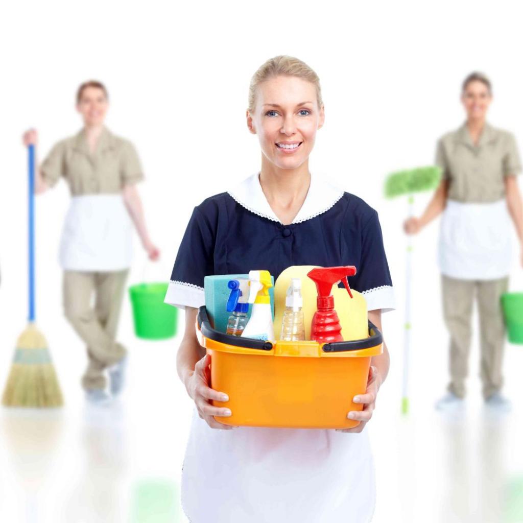 Professional Cleaning services wandsworth